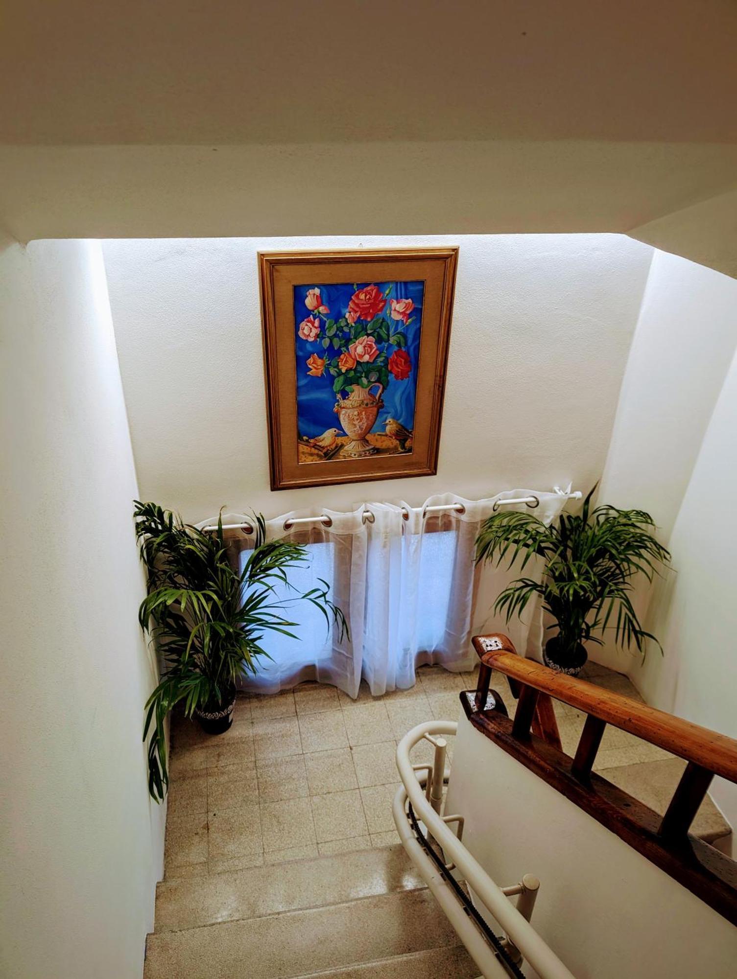 Guest House Il Glicine Stadio - Ospedale 切塞纳 外观 照片